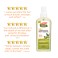 Shine Therapy Hair & Scalp Oil