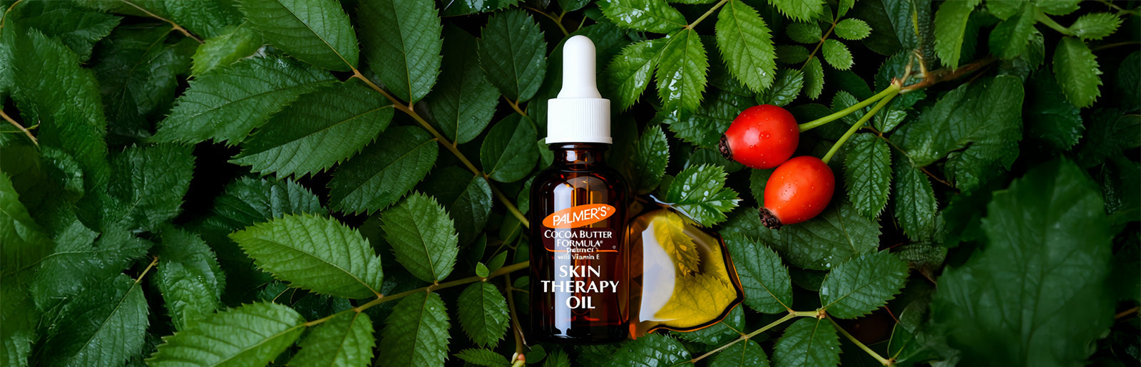 Face Oils